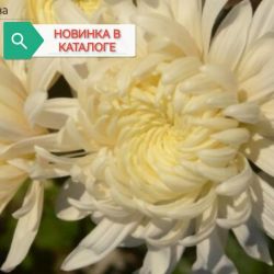 Валентина Терешкова Валентина Терешкова