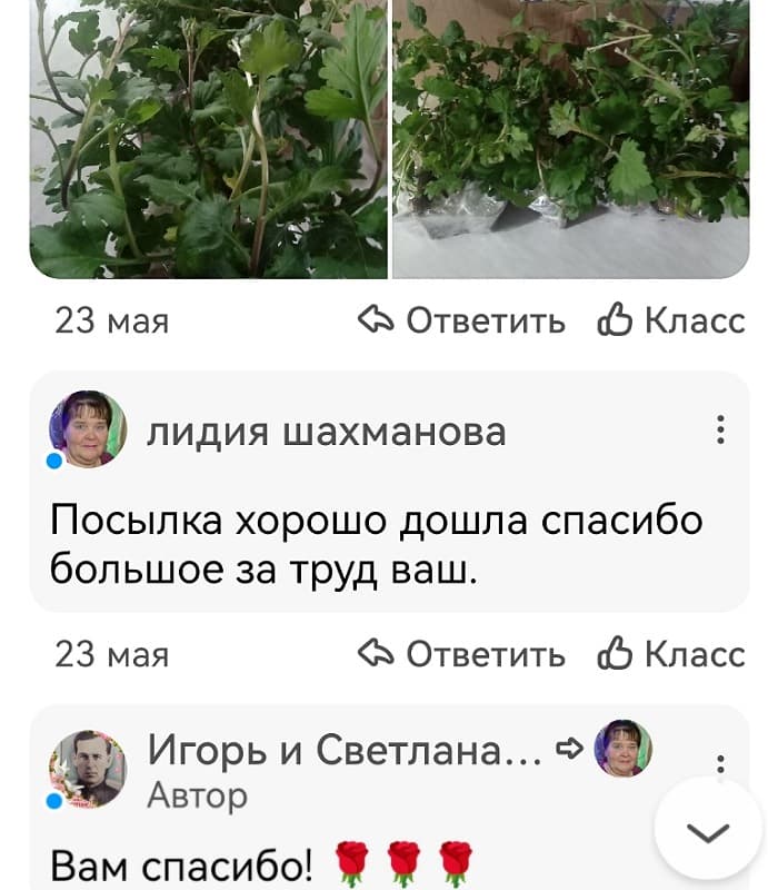 Отзыв клиента