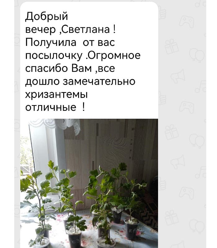 Отзыв клиента