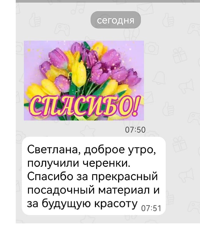 Отзыв клиента