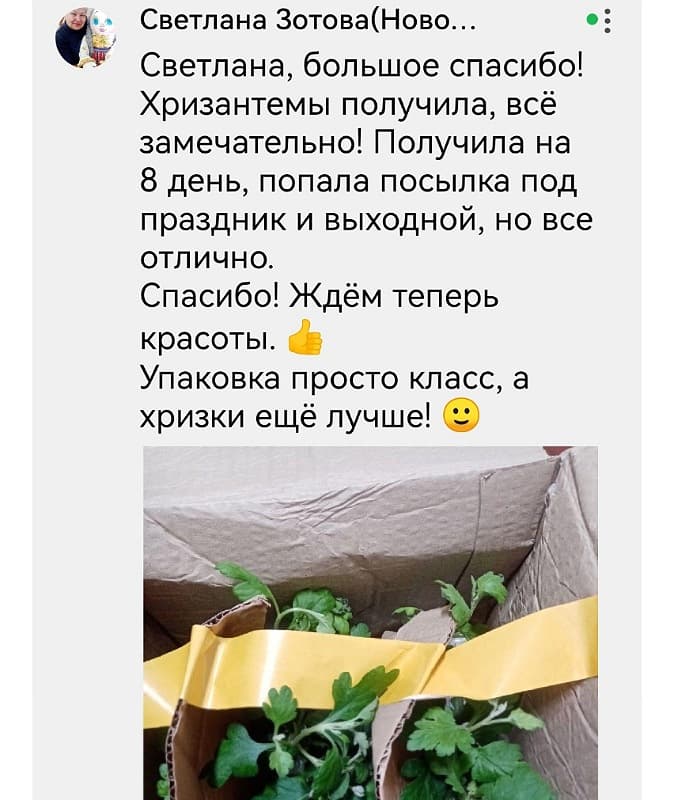 Отзыв клиента