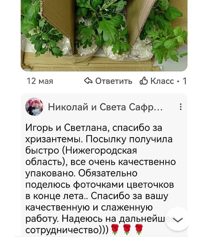 Отзыв клиента