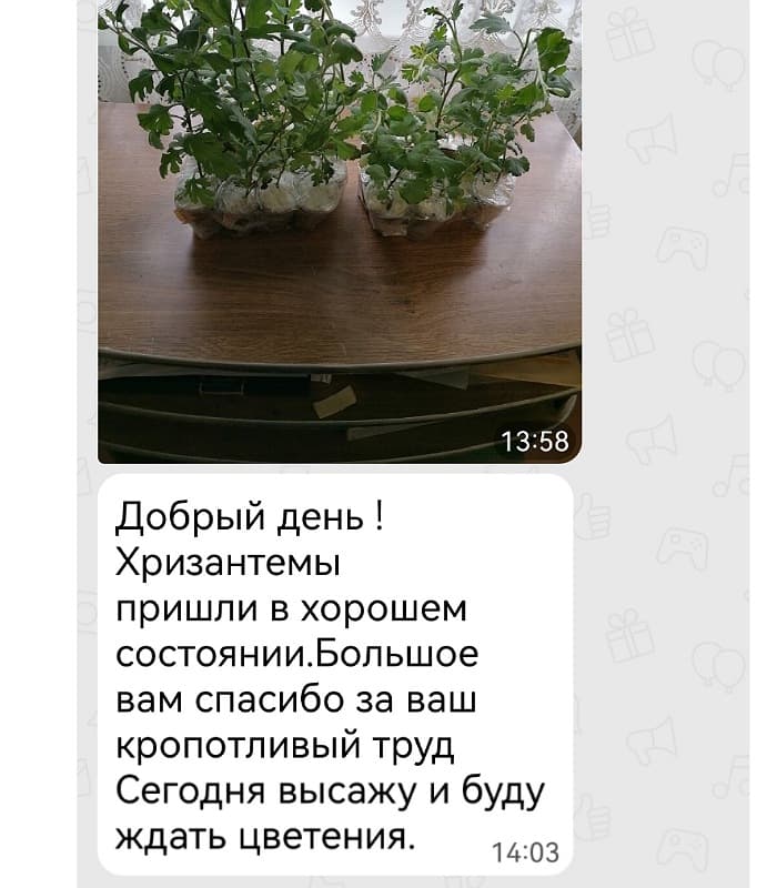 Отзыв клиента