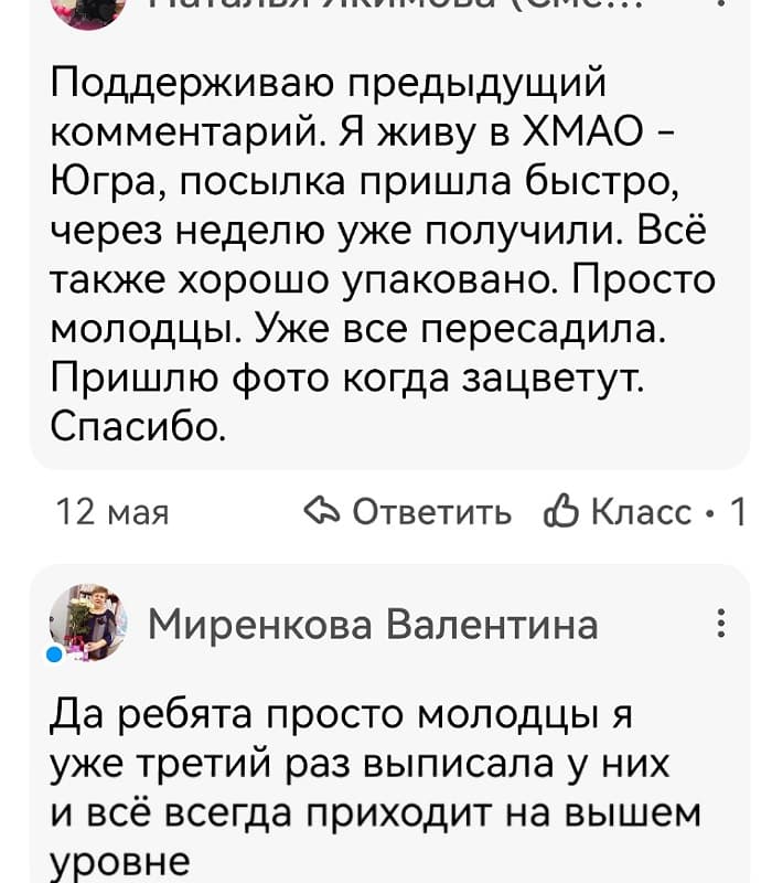 Отзыв клиента