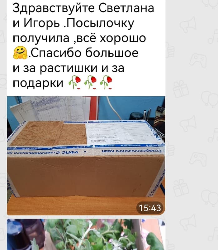 Отзыв клиента