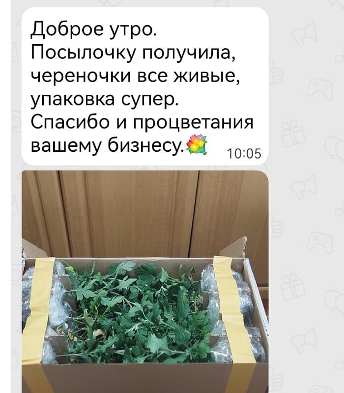 Отзыв клиента